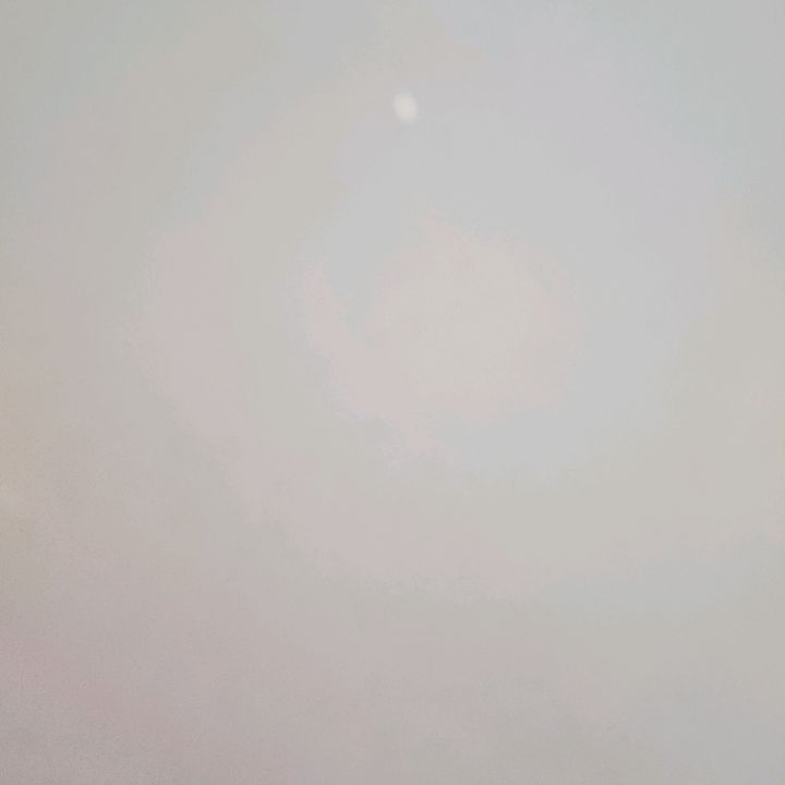 Profile Picture of Dolores Hardy (@doloreshardy7) on Tiktok