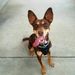 Profile Picture of betty oudomhack (@bettyo1977) on Pinterest