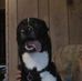 Profile Picture of Kenneth Watson (@kenneth.watson.9484) on Facebook