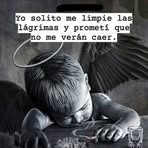 Profile Picture of Tony Barrientos (@Tony-Barrientos) on Facebook