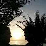 Profile Picture of Brigitte Seifert Baum (@seifertbaum) on Instagram