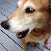 Profile Picture of Alex Appel (@alex-appel-3) on Quora