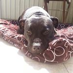 Profile Picture of Claudia Weimer (@weimerclaudia) on Instagram