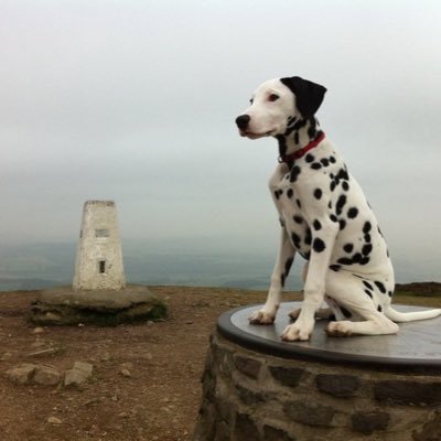 Profile Picture of Tom Wilson (@GoringTom) on Twitter