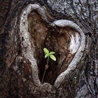 Profile Picture of Janette Holtkamp (@janetteholtkamp) on Pinterest