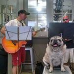 Profile Picture of Michael Karpas (@karpasmichael) on Instagram