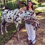 Profile Picture of Michelle Taranto-Qualls (@shelsters72) on Instagram