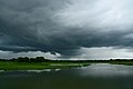 Profile Picture of Jagannathpur Upazilaon Wikipedia