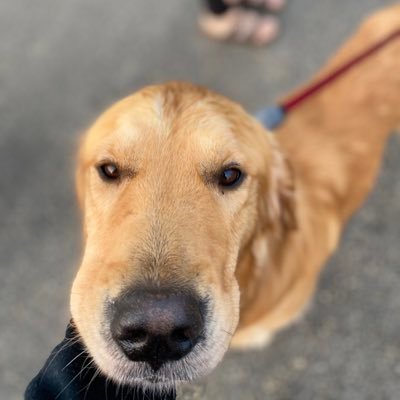 James Ronald Pinard - Twitter Profile Picture of James Ronald Pinard (@JamesRonaldPin1) on Twitter