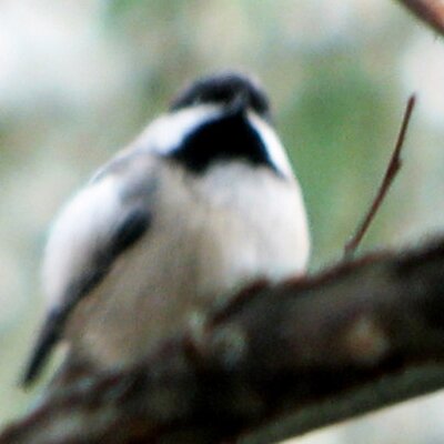 Profile Picture of Cathy Postlewait (@catway67) on Twitter