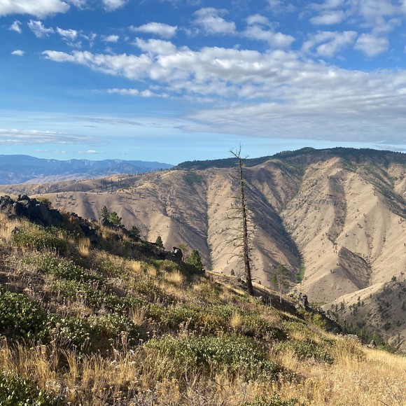 Profile Picture of Isaac Capelouto (@isaaccapelouto) on Poshmark