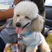 Profile Picture of Somkeat Apiwattanakul (@somkeat.apiwattanakul) on Facebook