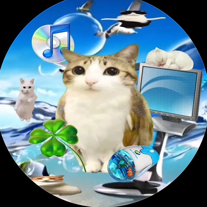 Profile Picture of Dominick (@dominickari) on Tiktok