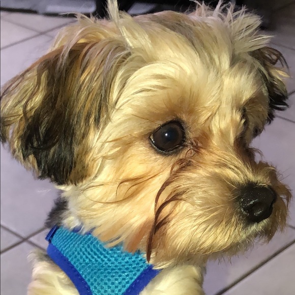 Profile Picture of Carlos Leite (@carlosleite) on Poshmark