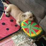 Profile Picture of Jason Lyson (@lysonjason) on Instagram