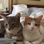 Profile Picture of Debbie Englert (@debbieenglert) on Instagram