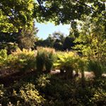 Profile Picture of Chris Gaggero (@chrisgaggero) on Instagram