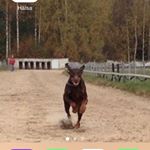 Profile Picture of Christina Bohlin (@christina.bohlin) on Instagram