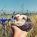 Profile Picture of Лилля Дрожжевая (@Лилля-Дрожжевая) on Facebook