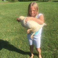 Profile Picture of Sharon Flichtbeil (@sharon-flichtbeil) on Quora