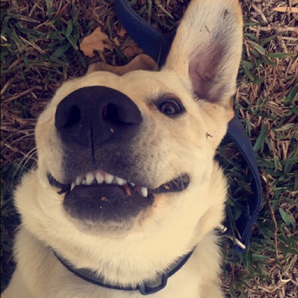 Profile Picture of Paulette Martinez (@paulettemtz74) on Poshmark