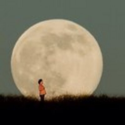 Profile Picture of Nathan Yang (@thedudedds) on Twitter