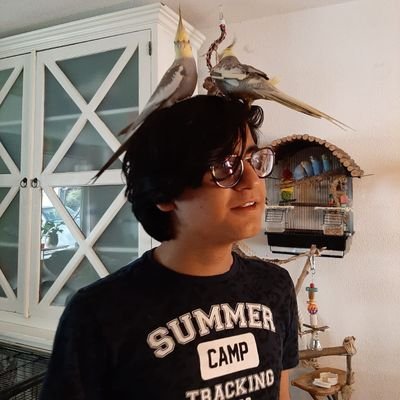 Profile Picture of Diako (@DiakoAlt) on Twitter