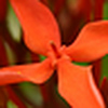 Profile Picture of Lisa Granath (@Lisa Granath) on Flickr