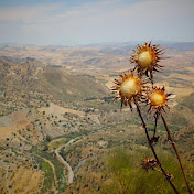 Profile Picture of Timothy Howell (@timothyhowell4992) on Youtube