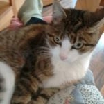 Profile Picture of Doris Fuchs (@dorisfuchs1) on Instagram