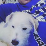 Profile Picture of Michael Rinn (@rinn.michael) on Instagram