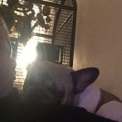 Profile Picture of Miles Nicholson (@mnic68) on Youtube