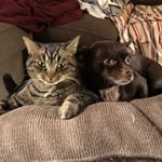 Profile Picture of Andrew Sheldon (@andyshel123) on Instagram