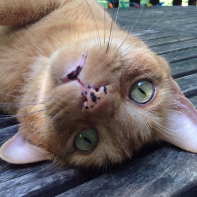 Skylar Richard - Twitter Profile Picture of Skylar Richard (@smellytoes6) on Twitter