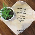 Profile Picture of Shannon Kopp (@napkin_poet) on Instagram