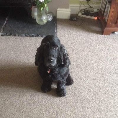 Profile Picture of Audreyplummer79@gmail.com (@audreyplummer73) on Twitter