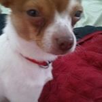 Profile Picture of Misty Lea McDuffie (@kush_mcduffie) on Instagram