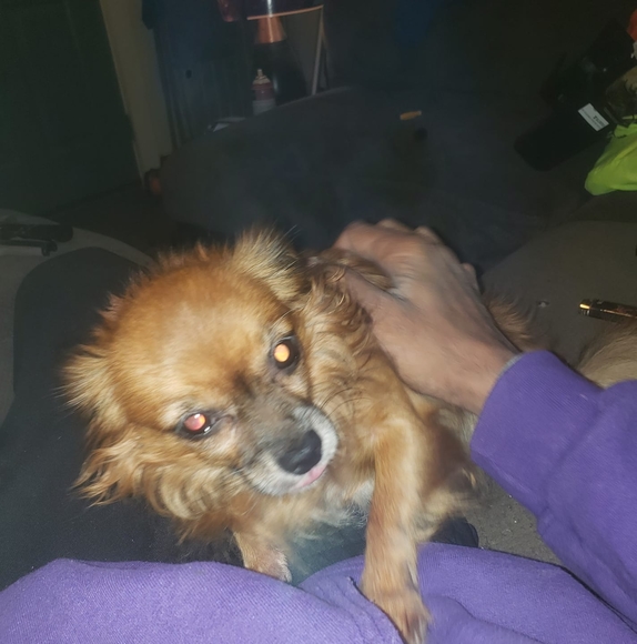 Profile Picture of Michael Abel (@mickeide) on Poshmark