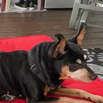 Profile Picture of Normand Hubert (@normand.hubert.39) on Facebook