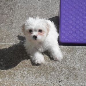 Profile Picture of Money Star (@ilovemealways247365) on Myspace