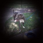 Profile Picture of Steven Lamotte (@steven.lamotte.7) on Instagram