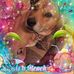 Profile Picture of Barbara Hirsh (@yakiyili) on Facebook