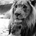 Profile Picture of Austin Helm (@auhelm23) on Pinterest