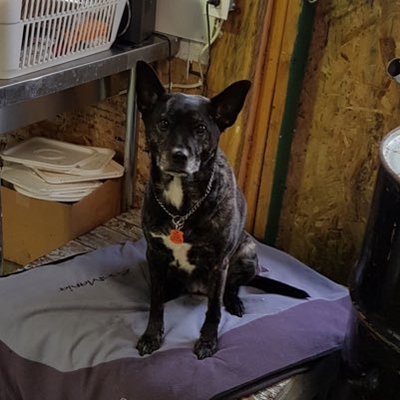 Profile Picture of Jessie Gosselin (@GosselinJessie) on Twitter