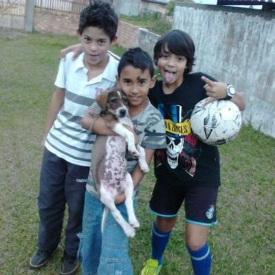 Profile Picture of João Gabriel Baum (@_gabrielbaum) on Twitter