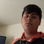 Profile Picture of Louai Museitef (@louaim24) on Instagram