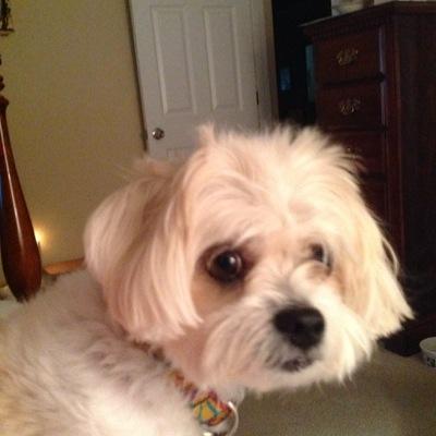 Profile Picture of Tony Darnell (@BunsTony) on Twitter