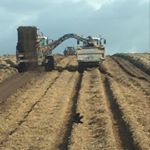 Profile Picture of Stephen Giblin Lalathan Farm (@stephen_giblin_) on Instagram