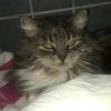 Profile Picture of Doris (@@doris_katten) on Tiktok