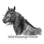 Profile Picture of Mary Hone (@wildmustangsforever) on Instagram